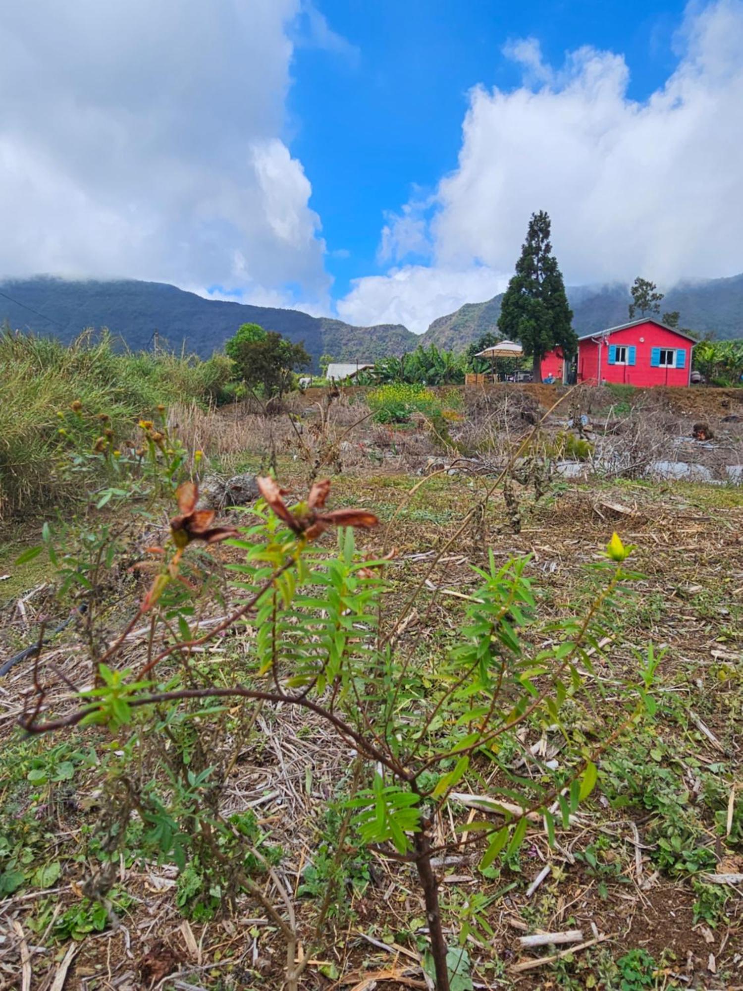 Penzion Au Coeur Des Plantations La Possession Exteriér fotografie